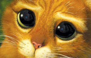 copywriting, copywriting para vendas, copywriting para anuncios, livro copywriting